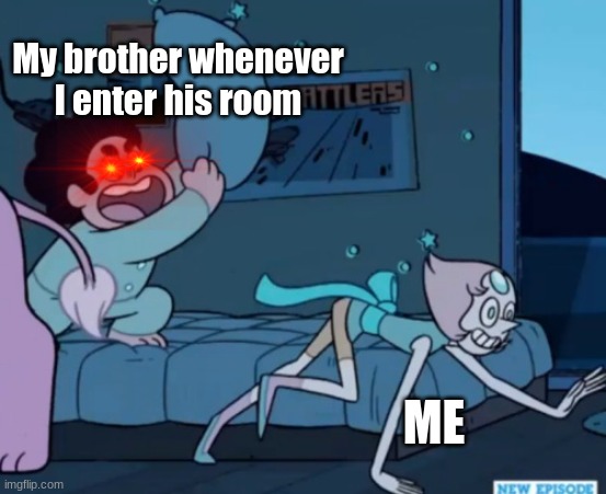 Steven Universe | My brother whenever I enter his room; ME | image tagged in steven universe | made w/ Imgflip meme maker