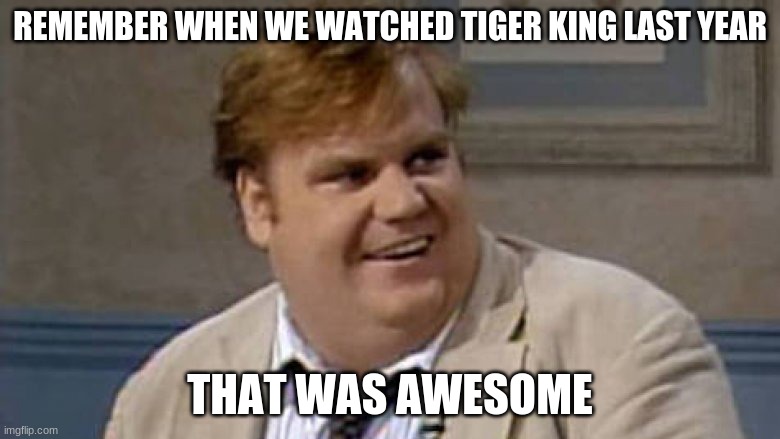 tiger king | REMEMBER WHEN WE WATCHED TIGER KING LAST YEAR; THAT WAS AWESOME | image tagged in chris farley awesome,cats,tiger | made w/ Imgflip meme maker