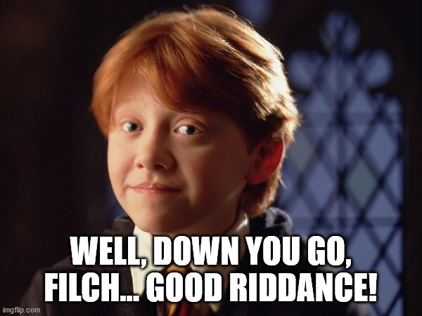 Ron Weasley | WELL, DOWN YOU GO, FILCH... GOOD RIDDANCE! | image tagged in ron weasley | made w/ Imgflip meme maker