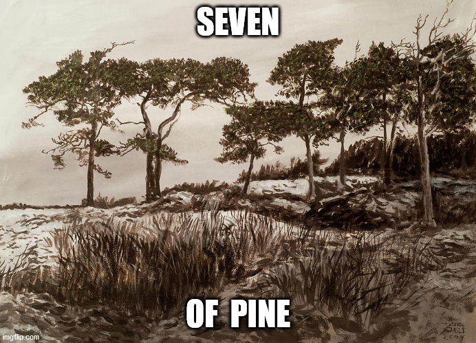 SEVEN OF  PINE | made w/ Imgflip meme maker
