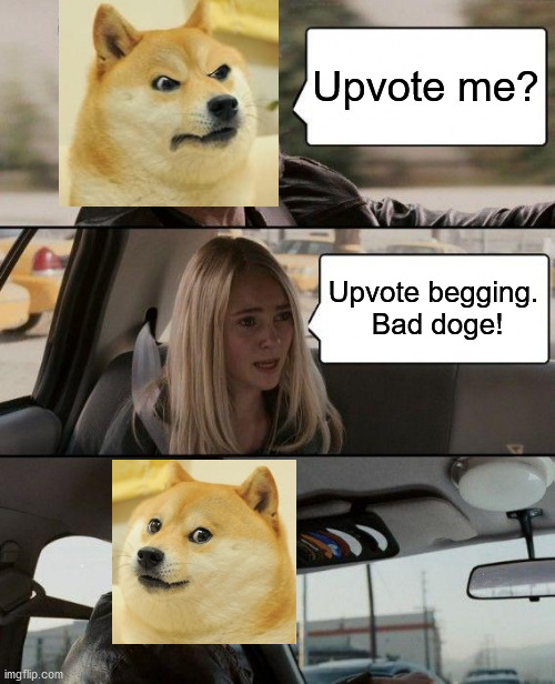 The Rock Driving Meme | Upvote me? Upvote begging.  Bad doge! | image tagged in memes,the rock driving | made w/ Imgflip meme maker