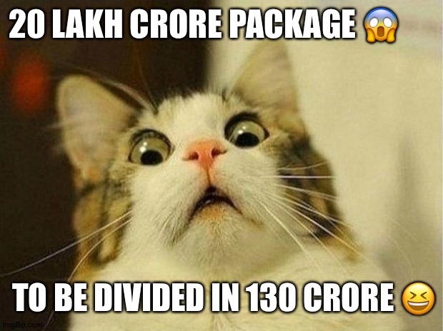 Scared Cat | 20 LAKH CRORE PACKAGE 😱; TO BE DIVIDED IN 130 CRORE 😆 | image tagged in memes,scared cat | made w/ Imgflip meme maker