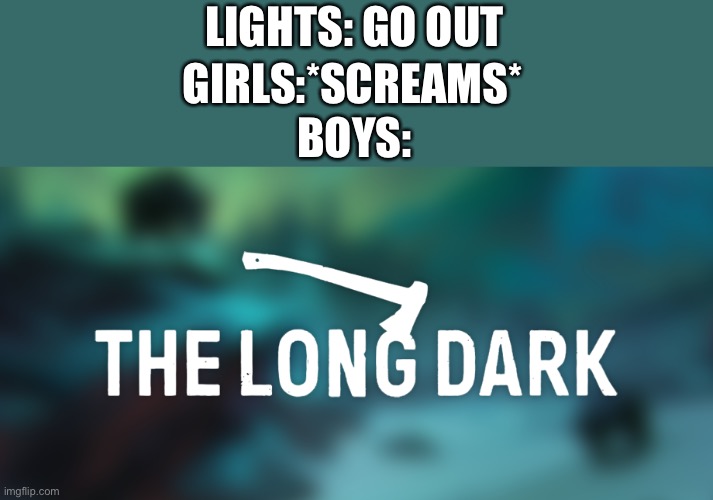 When the lights go out | LIGHTS: GO OUT; GIRLS:*SCREAMS*; BOYS: | image tagged in the long dark | made w/ Imgflip meme maker