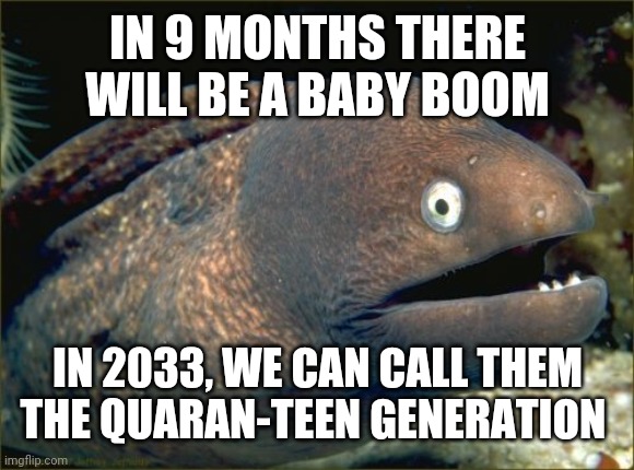 Then In 2039, They Will Be The Covid-19ers. | IN 9 MONTHS THERE WILL BE A BABY BOOM; IN 2033, WE CAN CALL THEM THE QUARAN-TEEN GENERATION | image tagged in memes,bad joke eel | made w/ Imgflip meme maker