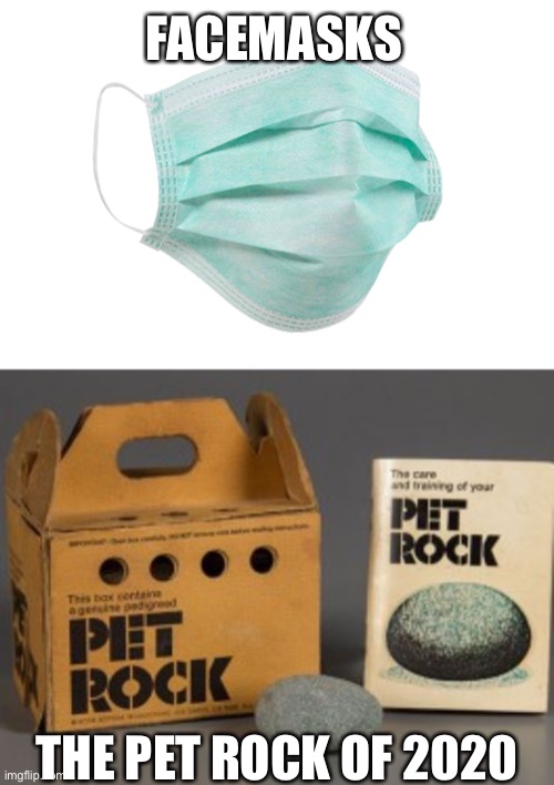 Happy to see fewer people wearing these in non hot spots and free states. | FACEMASKS; THE PET ROCK OF 2020 | image tagged in pet rock,face mask,covid-19,sheeple | made w/ Imgflip meme maker