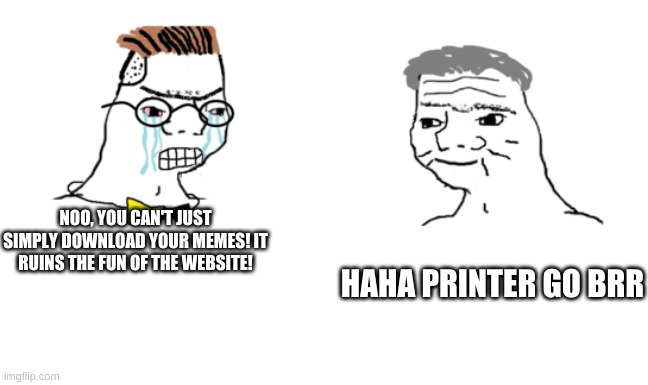 noooo you can't just | HAHA PRINTER GO BRR; NOO, YOU CAN'T JUST SIMPLY DOWNLOAD YOUR MEMES! IT RUINS THE FUN OF THE WEBSITE! | image tagged in noooo you can't just | made w/ Imgflip meme maker