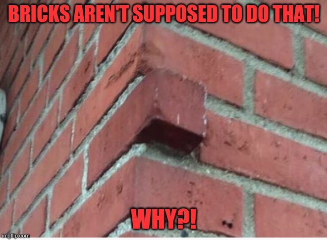 sir? SIR?! | BRICKS AREN'T SUPPOSED TO DO THAT! WHY?! | image tagged in fail | made w/ Imgflip meme maker