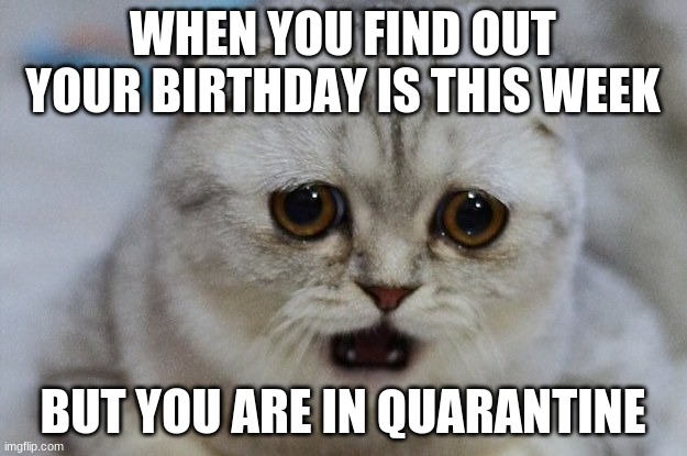 :( | WHEN YOU FIND OUT YOUR BIRTHDAY IS THIS WEEK; BUT YOU ARE IN QUARANTINE | image tagged in sad | made w/ Imgflip meme maker