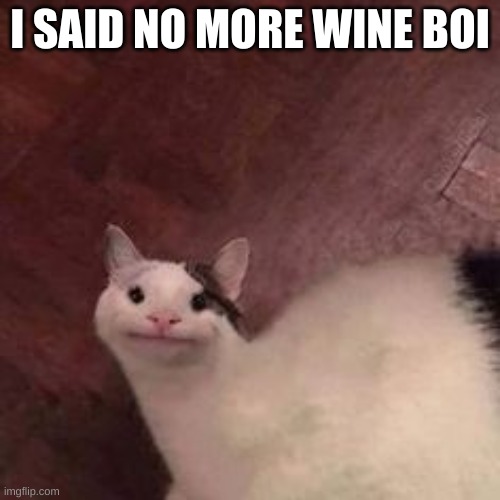 CAT | I SAID NO MORE WINE BOI | image tagged in hehehe | made w/ Imgflip meme maker