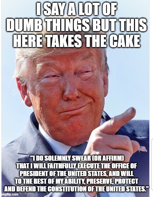 Trump pointing | I SAY A LOT OF DUMB THINGS BUT THIS HERE TAKES THE CAKE; "I DO SOLEMNLY SWEAR (OR AFFIRM) THAT I WILL FAITHFULLY EXECUTE THE OFFICE OF PRESIDENT OF THE UNITED STATES, AND WILL TO THE BEST OF MY ABILITY, PRESERVE, PROTECT AND DEFEND THE CONSTITUTION OF THE UNITED STATES." | image tagged in trump pointing | made w/ Imgflip meme maker