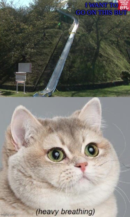 My anxiety | I WANT TO GO ON THIS BUT | image tagged in memes,heavy breathing cat | made w/ Imgflip meme maker