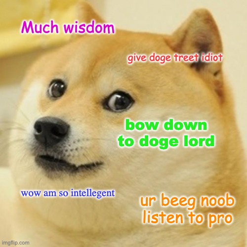 doge wisdom | Much wisdom; give doge treet idiot; bow down to doge lord; wow am so intellegent; ur beeg noob listen to pro | image tagged in memes,doge | made w/ Imgflip meme maker