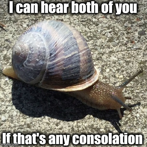 Slow as a snail... | I can hear both of you If that's any consolation | image tagged in slow as a snail | made w/ Imgflip meme maker