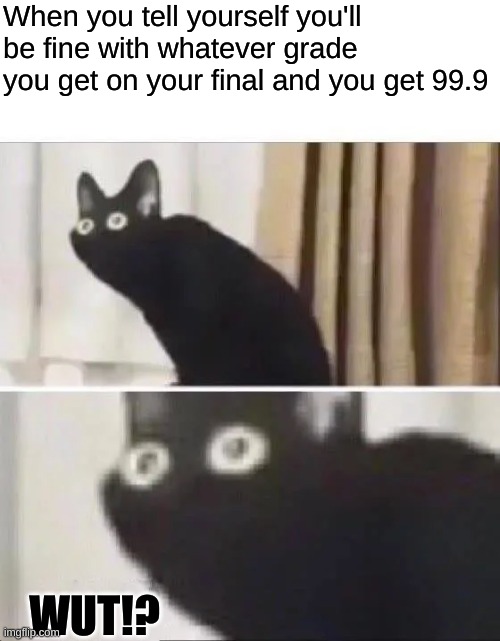 How is this fair? | When you tell yourself you'll be fine with whatever grade you get on your final and you get 99.9; WUT!? | image tagged in oh no black cat | made w/ Imgflip meme maker