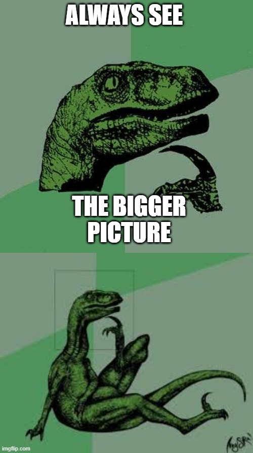 ALWAYS SEE; THE BIGGER PICTURE | image tagged in memes,philosoraptor,philosoraptor 20 | made w/ Imgflip meme maker