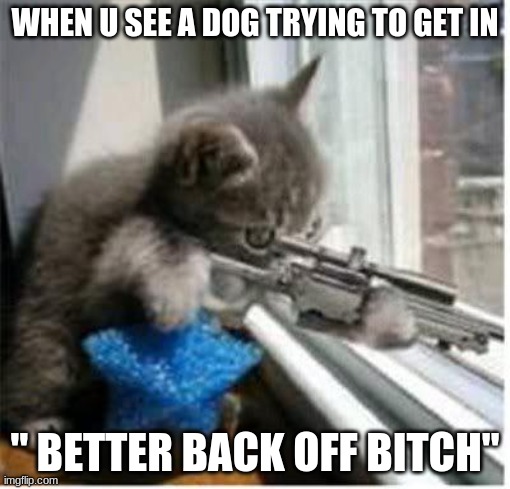 cats with guns |  WHEN U SEE A DOG TRYING TO GET IN; " BETTER BACK OFF BITCH" | image tagged in cats with guns | made w/ Imgflip meme maker