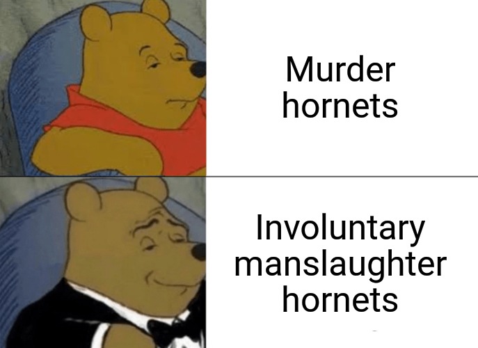 Tuxedo Winnie The Pooh | Murder hornets; Involuntary manslaughter hornets | image tagged in memes,tuxedo winnie the pooh | made w/ Imgflip meme maker