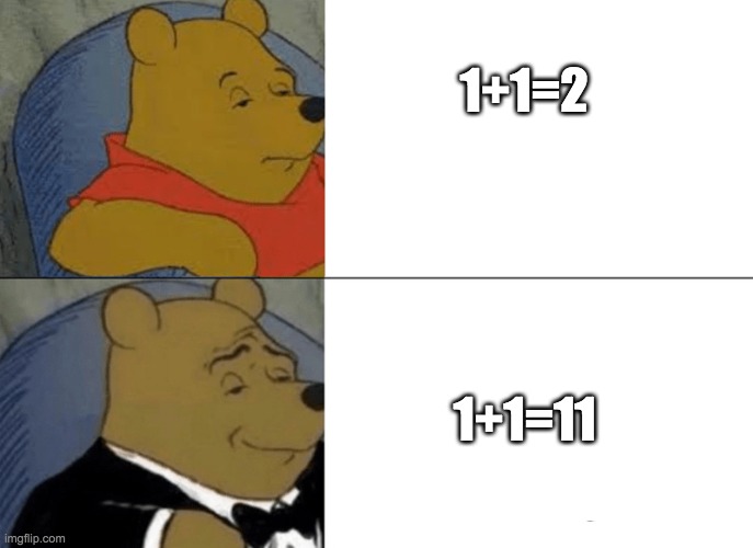 Maths | 1+1=2; 1+1=11 | image tagged in math,fun,funny,tuxedo winnie the pooh,meme,memes | made w/ Imgflip meme maker
