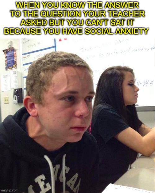I know it's frustrating | WHEN YOU KNOW THE ANSWER TO THE QUESTION YOUR TEACHER ASKED BUT YOU CAN'T SAT IT BECAUSE YOU HAVE SOCIAL ANXIETY | image tagged in angery boi | made w/ Imgflip meme maker