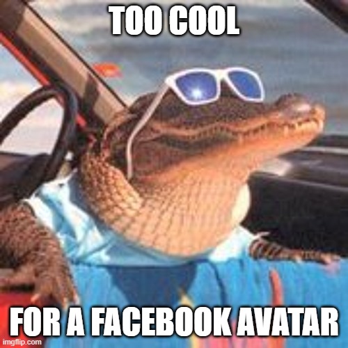 Cool Gator | TOO COOL; FOR A FACEBOOK AVATAR | image tagged in cool gator | made w/ Imgflip meme maker