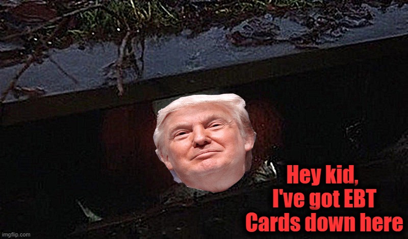 Pennytrump knows how to lure the illegals | Hey kid,  I've got EBT Cards down here | image tagged in pennywise hey kid | made w/ Imgflip meme maker