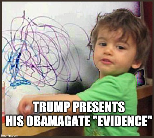 lil' donny powerpoint | TRUMP PRESENTS HIS OBAMAGATE "EVIDENCE" | image tagged in donald trump approves | made w/ Imgflip meme maker