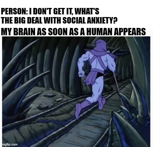 What social anxiety is really like |  PERSON: I DON'T GET IT, WHAT'S THE BIG DEAL WITH SOCIAL ANXIETY? MY BRAIN AS SOON AS A HUMAN APPEARS | image tagged in skeletor running away | made w/ Imgflip meme maker