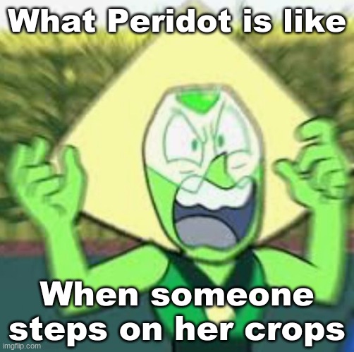 Peridot angry | What Peridot is like; When someone steps on her crops | image tagged in peridot angry | made w/ Imgflip meme maker