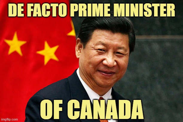 Xi Jinping | DE FACTO PRIME MINISTER OF CANADA | image tagged in xi jinping | made w/ Imgflip meme maker