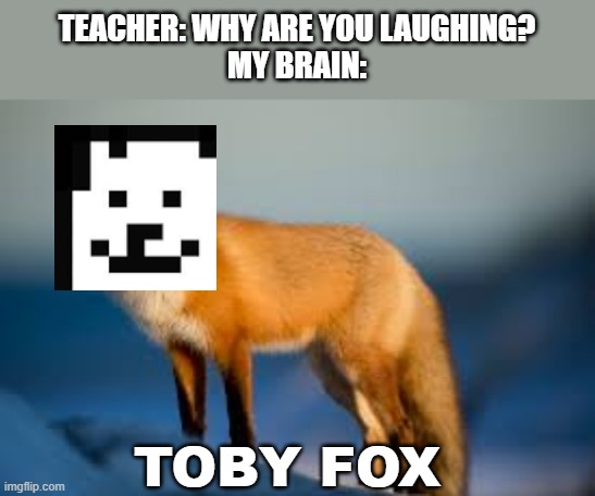 TEACHER: WHY ARE YOU LAUGHING?
MY BRAIN:; TOBY FOX | made w/ Imgflip meme maker