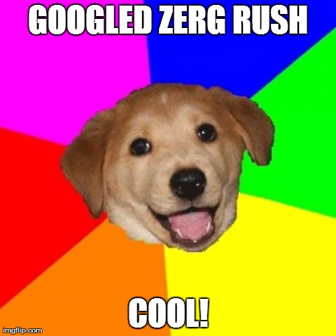 Advice Dog Meme | GOOGLED ZERG RUSH COOL! | image tagged in memes,advice dog | made w/ Imgflip meme maker