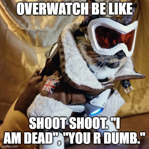 Overwatch cat | OVERWATCH BE LIKE; SHOOT SHOOT. "I AM DEAD", "YOU R DUMB." | image tagged in overwatch cat | made w/ Imgflip meme maker