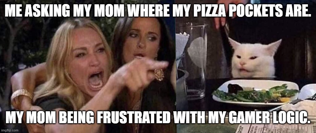 Funny cat salad mom game | ME ASKING MY MOM WHERE MY PIZZA POCKETS ARE. MY MOM BEING FRUSTRATED WITH MY GAMER LOGIC. | image tagged in woman yelling at cat | made w/ Imgflip meme maker