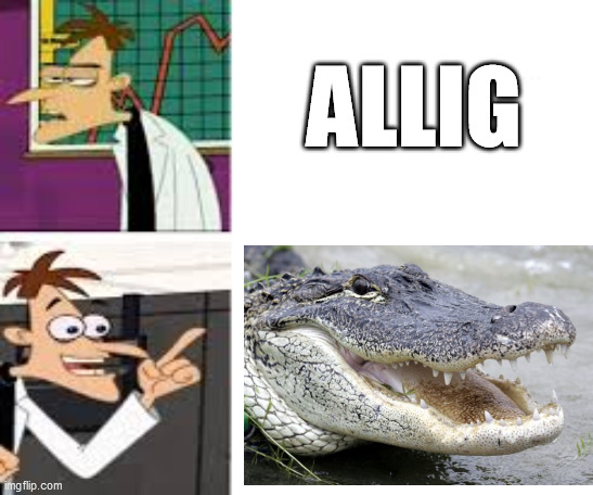 ALLIG | made w/ Imgflip meme maker