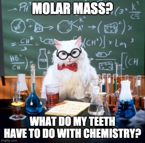 Molar Mass?! | MOLAR MASS? WHAT DO MY TEETH HAVE TO DO WITH CHEMISTRY? | image tagged in memes,chemistry cat | made w/ Imgflip meme maker