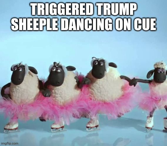 Dance sheeple, dance!!! | image tagged in donald trump approves | made w/ Imgflip meme maker