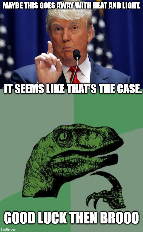 Mali doesn't agree | MAYBE THIS GOES AWAY WITH HEAT AND LIGHT. IT SEEMS LIKE THAT’S THE CASE. GOOD LUCK THEN BROOO | image tagged in memes,philosoraptor,donald trump | made w/ Imgflip meme maker