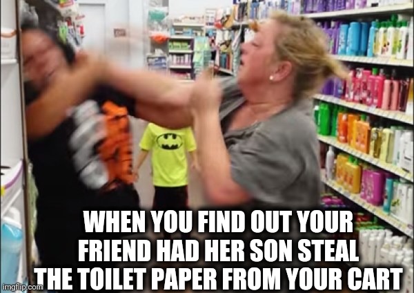 Who can you trust anymore? | WHEN YOU FIND OUT YOUR FRIEND HAD HER SON STEAL THE TOILET PAPER FROM YOUR CART | image tagged in cat fight | made w/ Imgflip meme maker