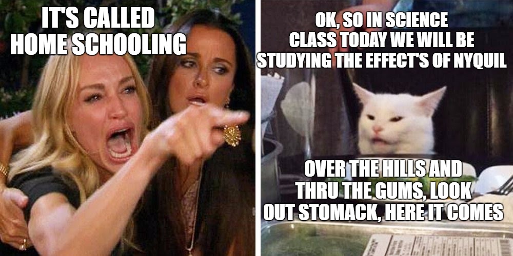 I'm sure some people feel like this | OK, SO IN SCIENCE CLASS TODAY WE WILL BE STUDYING THE EFFECT'S OF NYQUIL; IT'S CALLED HOME SCHOOLING; OVER THE HILLS AND THRU THE GUMS, LOOK OUT STOMACK, HERE IT COMES | image tagged in smudge the cat,random,corona virus,covid-19,homeschool,wtf | made w/ Imgflip meme maker