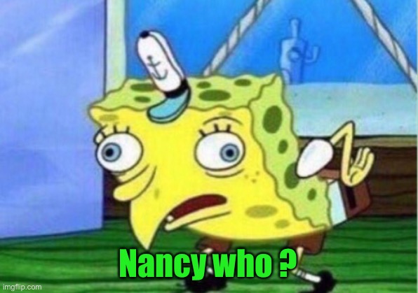 Mocking Spongebob Meme | Nancy who ? | image tagged in memes,mocking spongebob | made w/ Imgflip meme maker