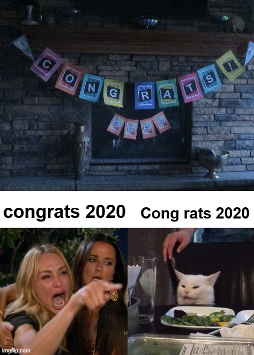 I'll do another one if I get 100 upvotes | Cong rats 2020; congrats 2020 | image tagged in memes,woman yelling at cat,funny,funny signs,2020 | made w/ Imgflip meme maker