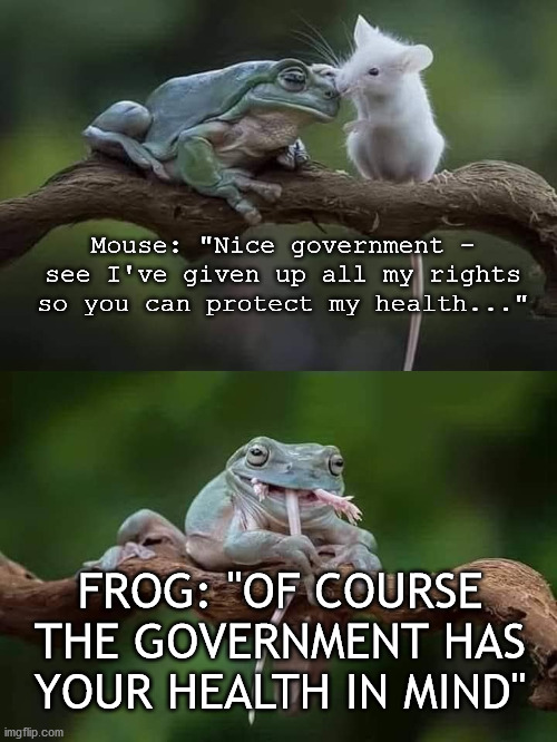 Mouse: "Nice government - see I've given up all my rights so you can protect my health..."; FROG: "OF COURSE THE GOVERNMENT HAS YOUR HEALTH IN MIND" | image tagged in covid-19 | made w/ Imgflip meme maker