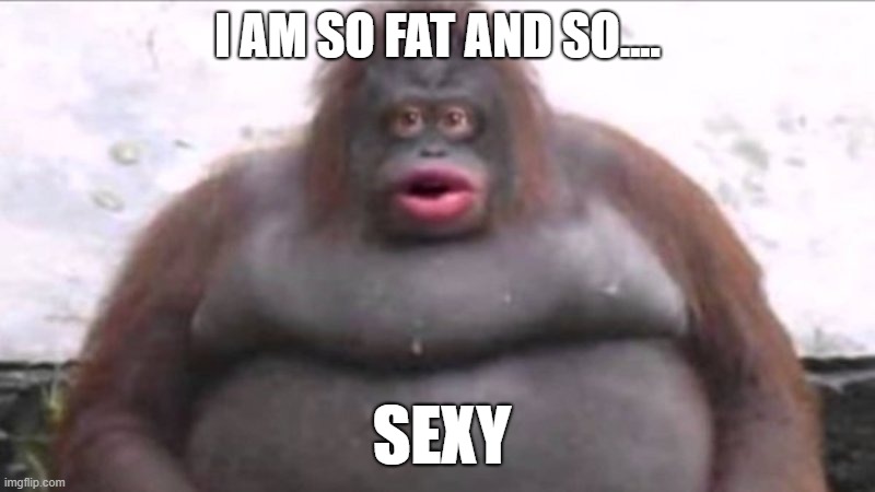 the stinkyest monkey |  I AM SO FAT AND SO.... SEXY | image tagged in uh oh stinky | made w/ Imgflip meme maker