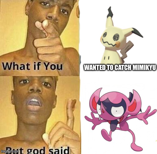 Pokémon Sword Troubles | WANTED TO CATCH MIMIKYU | image tagged in what if you wanted to go to heaven | made w/ Imgflip meme maker