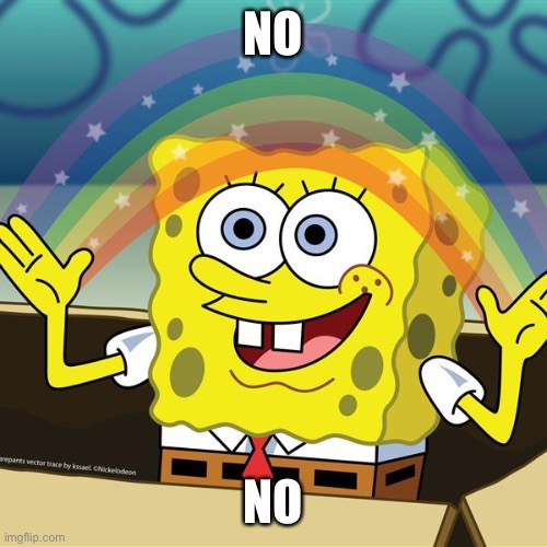 Spongebob nobody cared | NO NO | image tagged in spongebob nobody cared | made w/ Imgflip meme maker