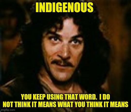INDIGENOUS YOU KEEP USING THAT WORD.  I DO NOT THINK IT MEANS WHAT YOU THINK IT MEANS | made w/ Imgflip meme maker