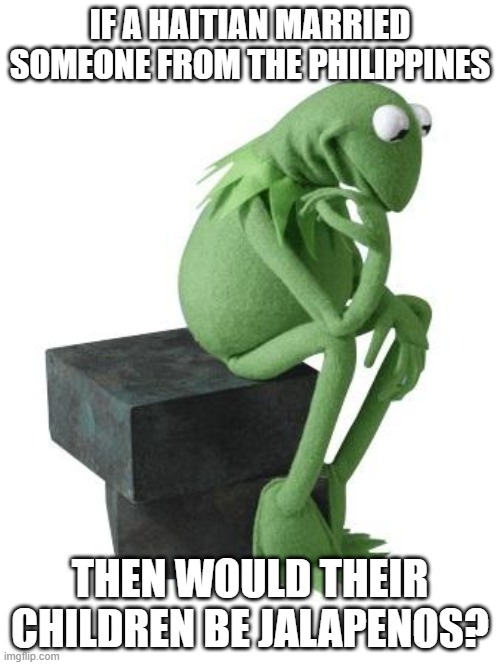 Philosophy Kermit | IF A HAITIAN MARRIED SOMEONE FROM THE PHILIPPINES; THEN WOULD THEIR CHILDREN BE JALAPENOS? | image tagged in philosophy kermit,kermit,the muppets | made w/ Imgflip meme maker