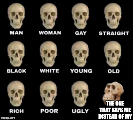 idiot skull | THE ONE THAT SAYS ME INSTEAD OF MY | image tagged in idiot skull | made w/ Imgflip meme maker