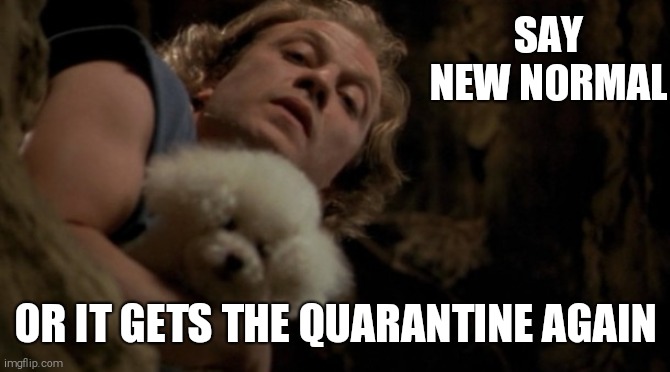 Crazy | SAY NEW NORMAL; OR IT GETS THE QUARANTINE AGAIN | image tagged in silence of the lambs lotion | made w/ Imgflip meme maker