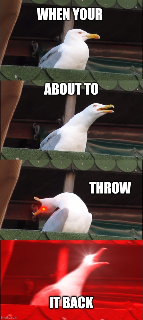 Inhaling Seagull | WHEN YOUR; ABOUT TO; THROW; IT BACK | image tagged in memes,inhaling seagull | made w/ Imgflip meme maker